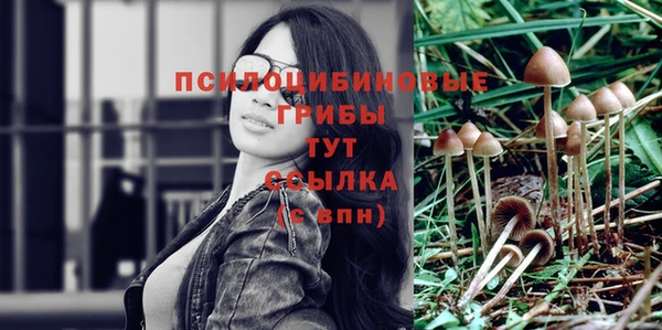 спиды Елизово