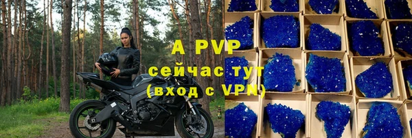 спиды Елизово