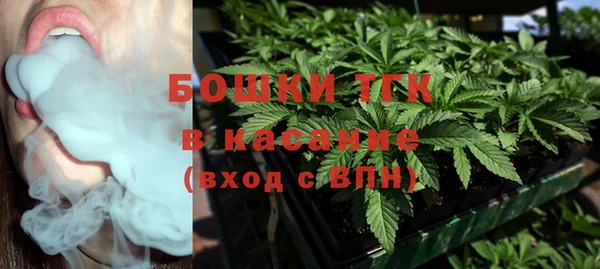 спиды Елизово