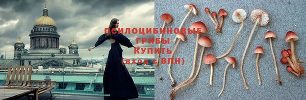 МДПВ Ельня