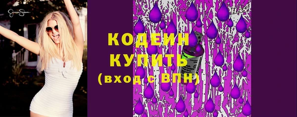 МДПВ Ельня