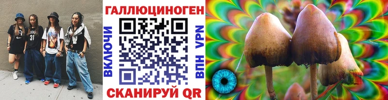 Псилоцибиновые грибы мицелий  Купить  Ветлуга 