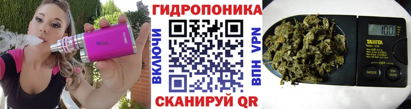 Бошки марихуана OG Kush Купить Ветлуга